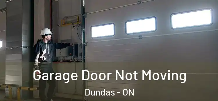  Garage Door Not Moving Dundas - ON