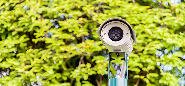 Advanced Surveillance Solutions for Every Need in Dundas