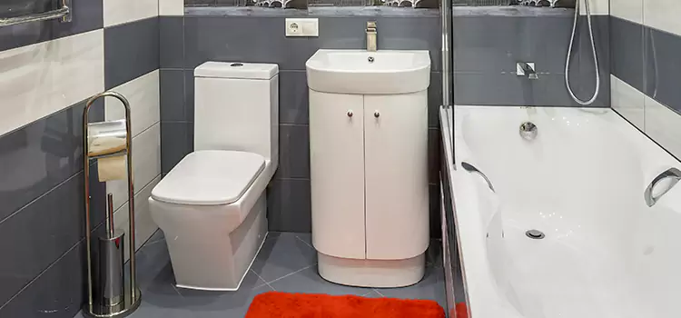 Hansgrohe Shaving Mirror Dundas